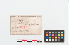 Etiketten zu Bronzebrillenfibel (NHMW-PRAE-024963)